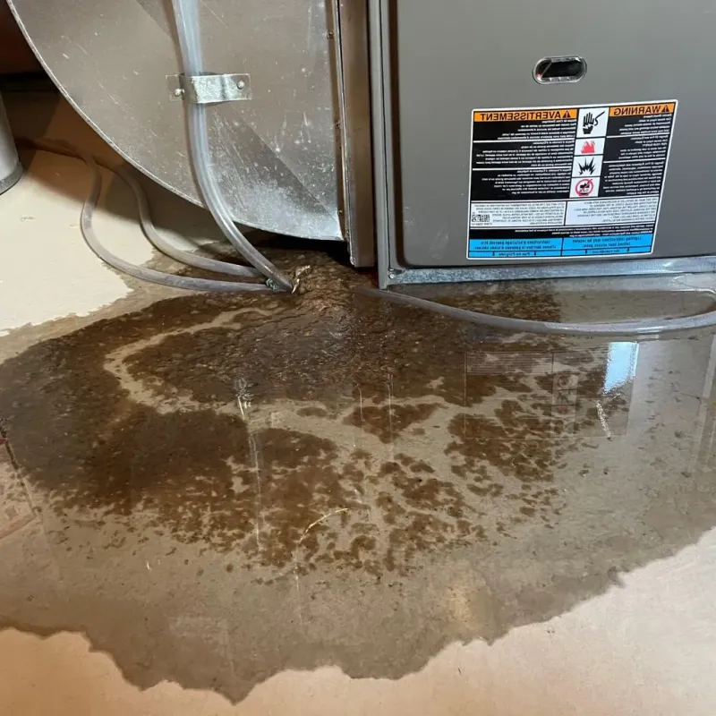 Pipe Burst and Leak Restoration in Park City, UT
